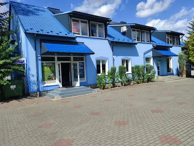 E-Motion. dr Monika Chmielecka